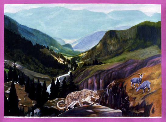 1983-12 Asia - a snow leopard stalks bharal sheep 108x78cm