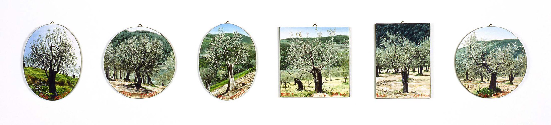 1992-01-09 olive I 16cm each
