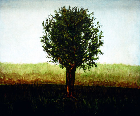 1997-06 formation (back light) 27,5x33,5cm
