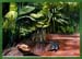 1983-11 South America - a cayman anticipates a capybara for dinner 108x78cm