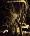 1995-02 along the Tiber 120x100cm